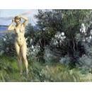 РЕПРОДУКЦИИ НА КАРТИНИ Край езерото Силян (1905)